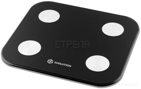 Напольные весы Evolution BTF2 (черный)