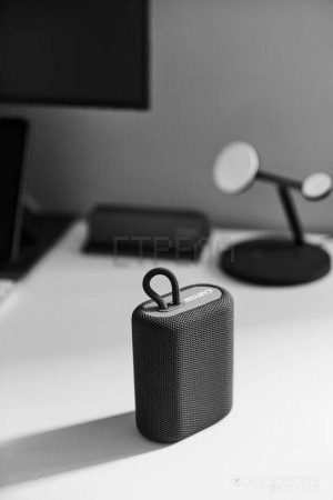 Беспроводная колонка Canyon CNE-CBTSP4BL