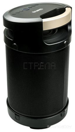 Колонка для вечеринок DIALOG AP-1030