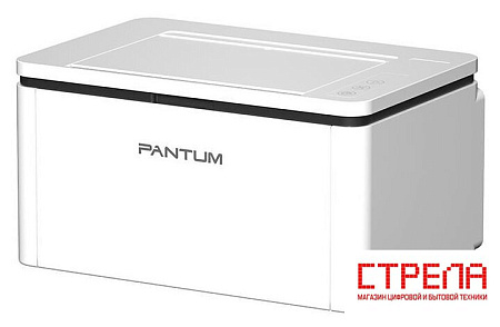 Принтер Pantum BP2300W