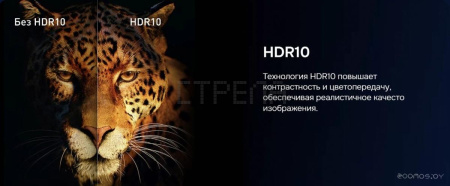 Телевизор Hikers 50HTU01