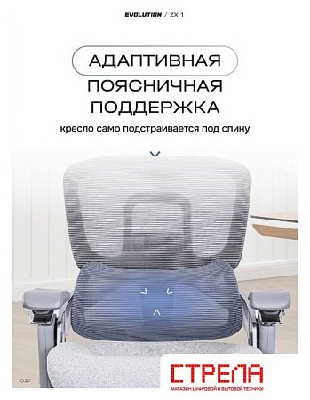 Офисное кресло Evolution ZX 1 (серый)