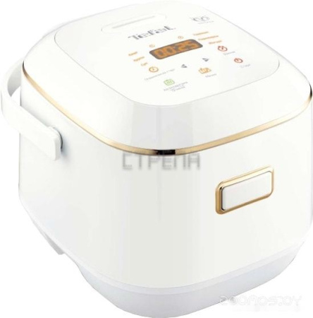 Мультиварка Tefal RK601132