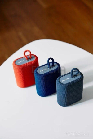 Беспроводная колонка Canyon CNE-CBTSP4BL