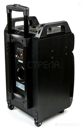 Колонка для вечеринок DIALOG AO-210