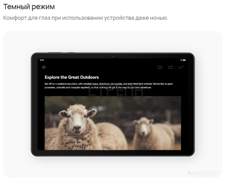 Планшет Huawei MatePad SE 10.4" AGS5-W09 4GB/64GB (графитовый черный)