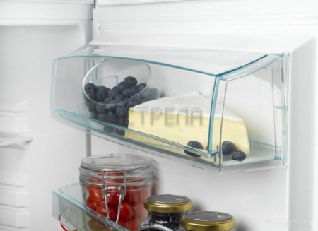 Холодильник Snaige RF31SM-S0002F