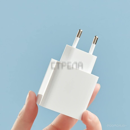 Сетевое зарядное Xiaomi Mi 33W Wall Charger