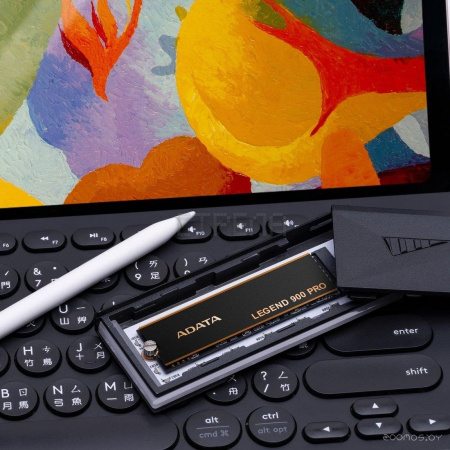 SSD A-Data Legend 900 Pro 1TB SLEG-900P-1TCS