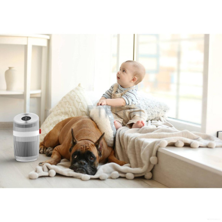 Очиститель воздуха Boneco Air-O-Swiss P230 (НС-1343970)