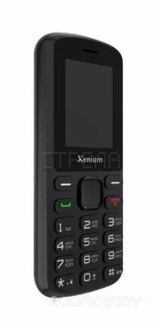 Кнопочный телефон Xenium X170 (черный)