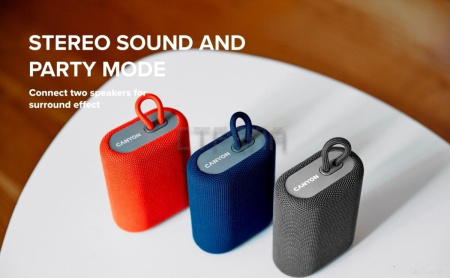 Беспроводная колонка Canyon CNE-CBTSP4BL