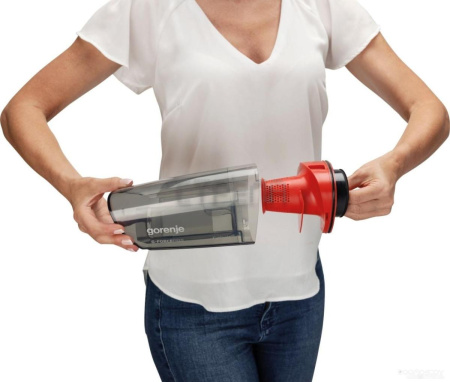 Пылесос Gorenje SVC216GFBK