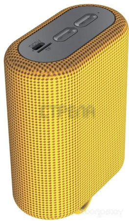 Беспроводная колонка Canyon CNE-CBTSP4Y