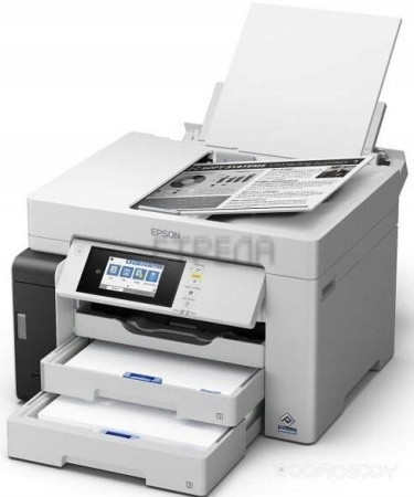 Принтер Epson M15180 (C11CJ41408)