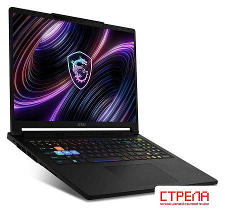 Игровой ноутбук MSI Raider 16 HX B2WI-069XBY