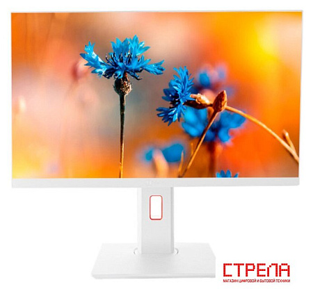 Моноблок ТЕСЛА P24WP 2416500