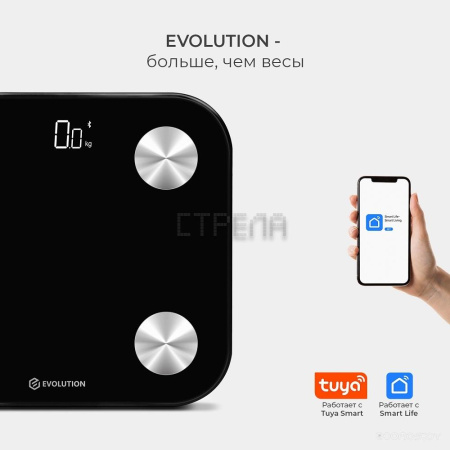 Напольные весы Evolution BTF2 (черный)