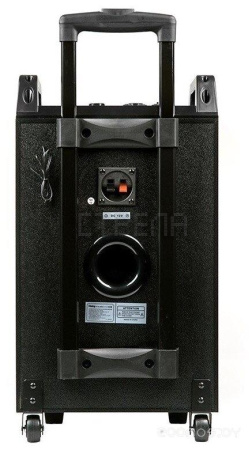 Колонка для вечеринок DIALOG AO-210