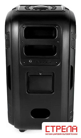 Беспроводная колонка ttec Carnival Pro