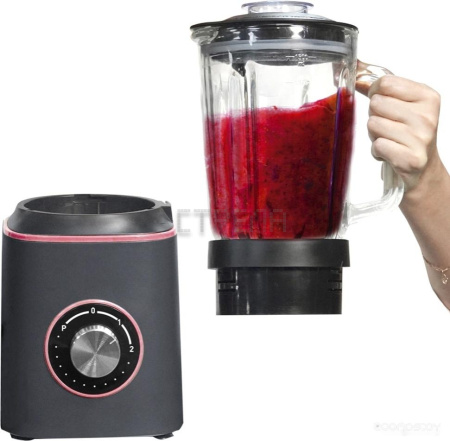 Стационарный блендер Zigmund & Shtain BS-442D