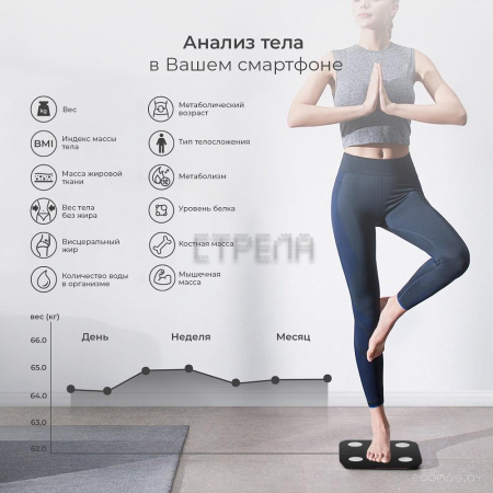 Напольные весы Evolution BTF2 (черный)