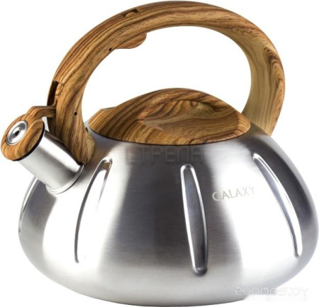 Чайник со свистком GALAXY GL9206