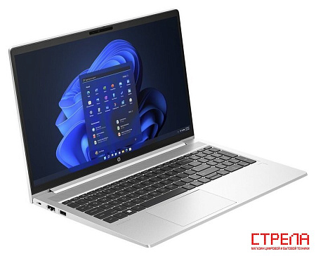 Ноутбук HP ProBook 450 G10 9G2N6ET