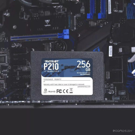 SSD Patriot P210 256GB P210S256G25