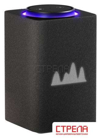 Умная колонка Яндекс Станция Макс (с хабом умного дома Zigbee, графит)