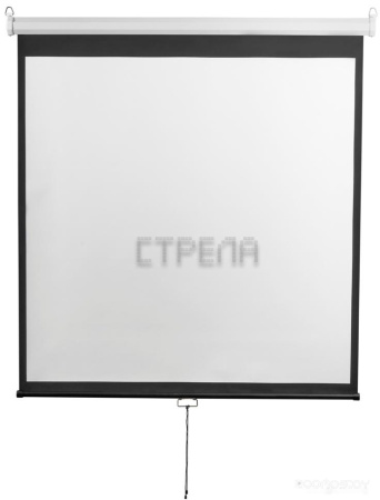 Проекционный экран Digis Optimal-D 206x209 DSOD-1105