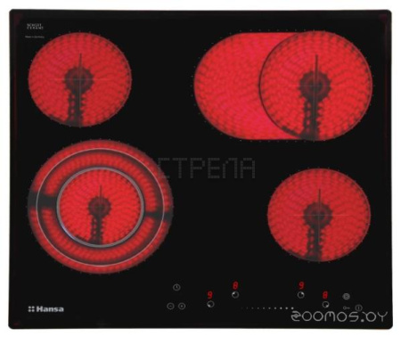 Варочная панель Hansa BHC66977