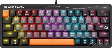 Клавиатура Defender Black Raven GK-417 45413