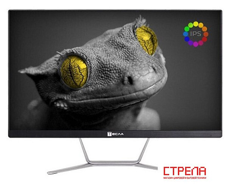 Моноблок ТЕСЛА Z24B 2108500