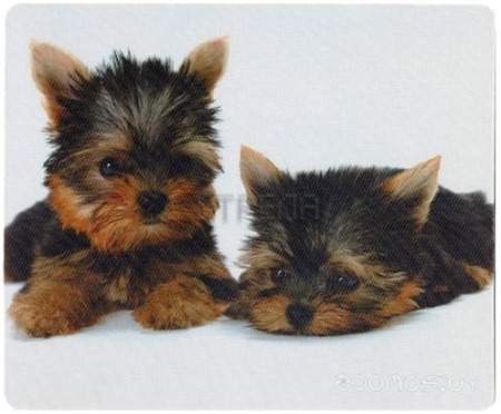 Коврик для мыши Defender Silk (50706)