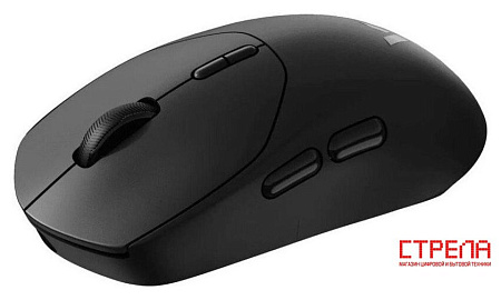 Игровая мышь Rapoo VT1 Pro (черный)