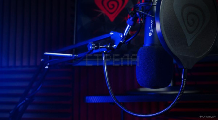 Микрофон Genesis Radium 300 XLR