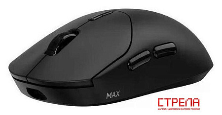 Игровая мышь Rapoo VT2MAXDM (черный)