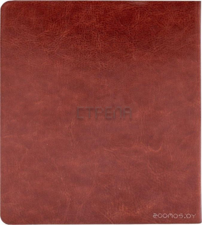 Электронная книга Onyx BOOX Galileo 2