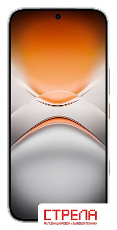 Телефон Tecno Pova 8 Pro 5G LK7 8GB/256GB (серебристый)