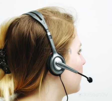 Компьютерная гарнитура Logitech Stereo Headset H110 (L981-000271)