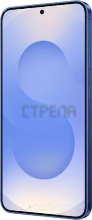 Смартфон Samsung Galaxy S25 SM-S931B 12GB/256GB (синий)