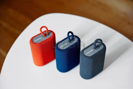 Беспроводная колонка Canyon CNE-CBTSP4BL