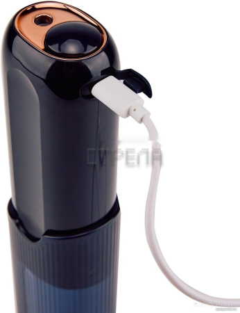 Ирригатор Evolution WF-03 (dark navy)