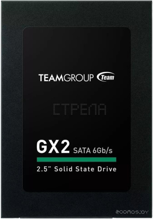 SSD Team GX2 256GB T253X2256G0C101