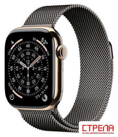 Умные часы Apple Watch Series 11 LTE 42 мм (титановый корпус, золотистый/сланец, миланская петля)