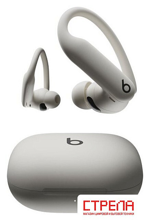 Наушники Beats Powerbeats Pro 2 (серый)