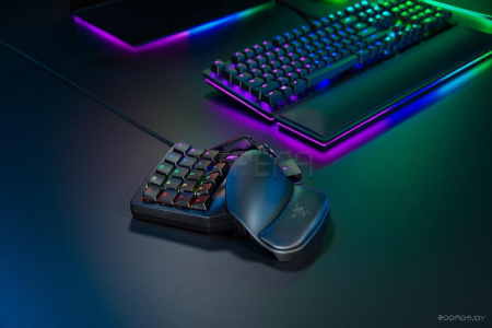 Клавиатура RAZER Tartarus Pro (RZ07-03110100-R3M1)