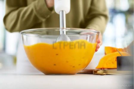 Погружной блендер Philips HR2545/00