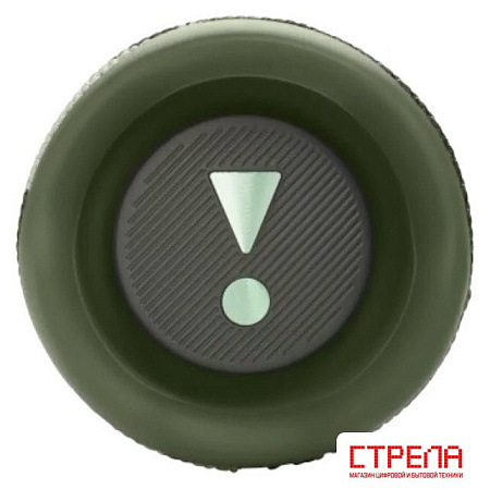 Беспроводная колонка JBL Flip 6 (камуфляж)